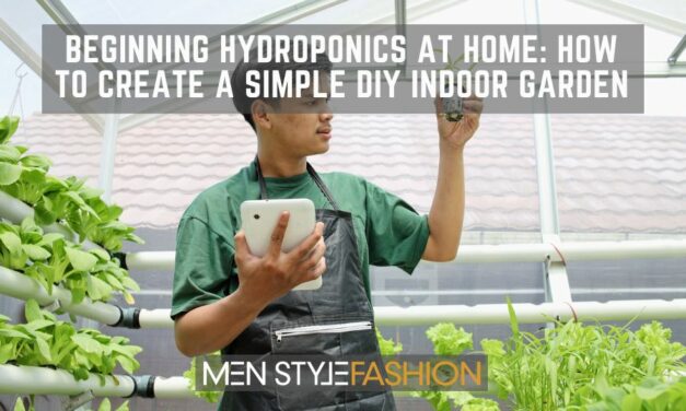 Beginning Hydroponics at Home – How to Create a Simple DIY Indoor Garden