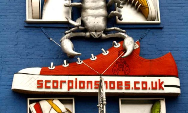 Camden Lock – Scorpion Shoes That Are Savvy In Style