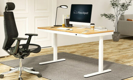 Flexispot Q8 Standing Desk Reviewed – Top Model 8-in-1 Standing Desk