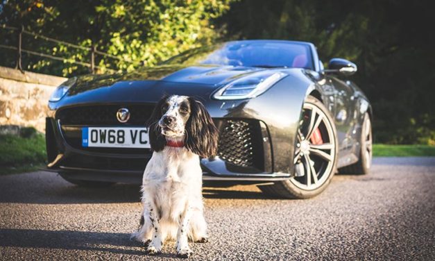 Jaguar F-Type SVR  – Convertible Lifestyle Review