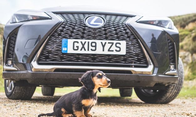 Lexus UX250h F Sport – Hybrid Reviewed