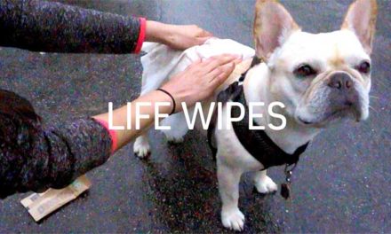 Life Wipes: Really Big Baby Wipes for Adults