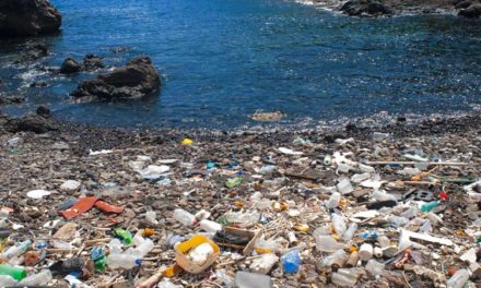 Plastic Bottle – Stop Drinking Your Plastic