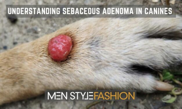 Understanding Sebaceous Adenoma in Canines – Symptoms and Treatment Options Using Cannabidiol Unveiled